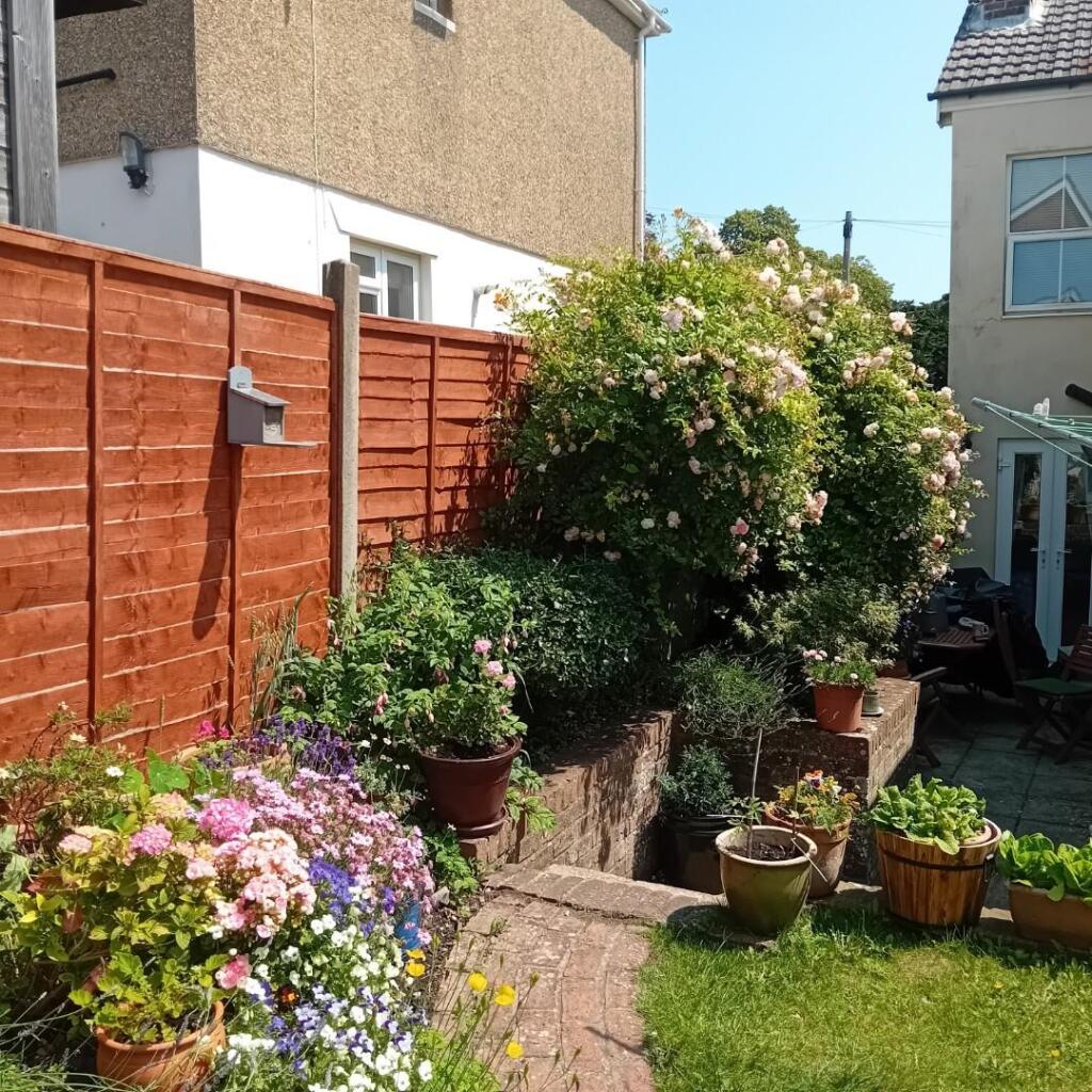 GARDEN 3 V.jpg