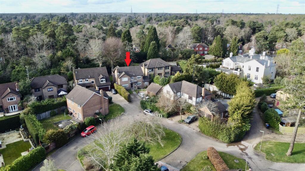 dji_fly_20250225_150918_272_1740496497114_photo_op