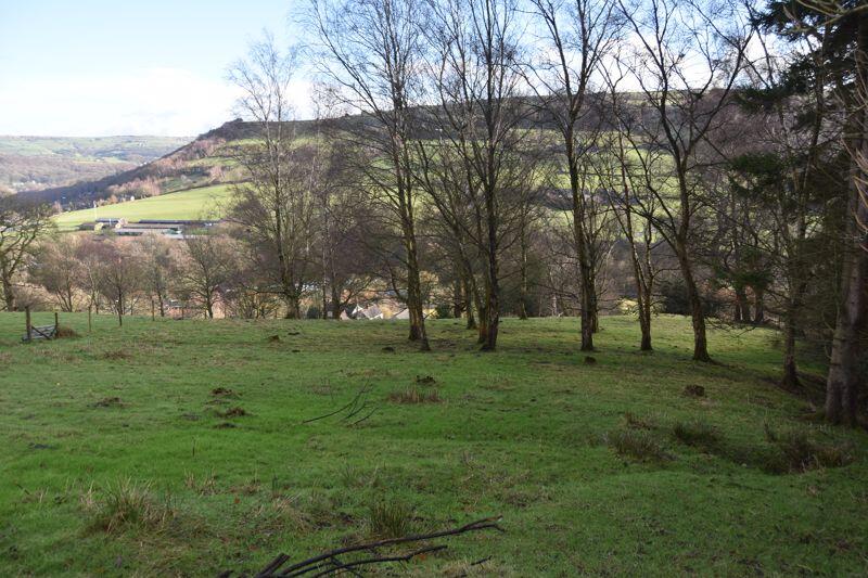 Field