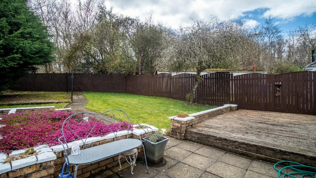 Back Garden 