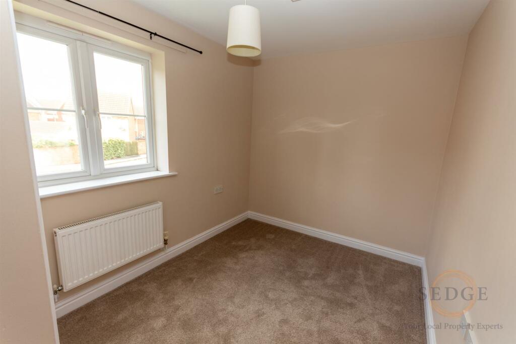 1 swan close-10.jpg