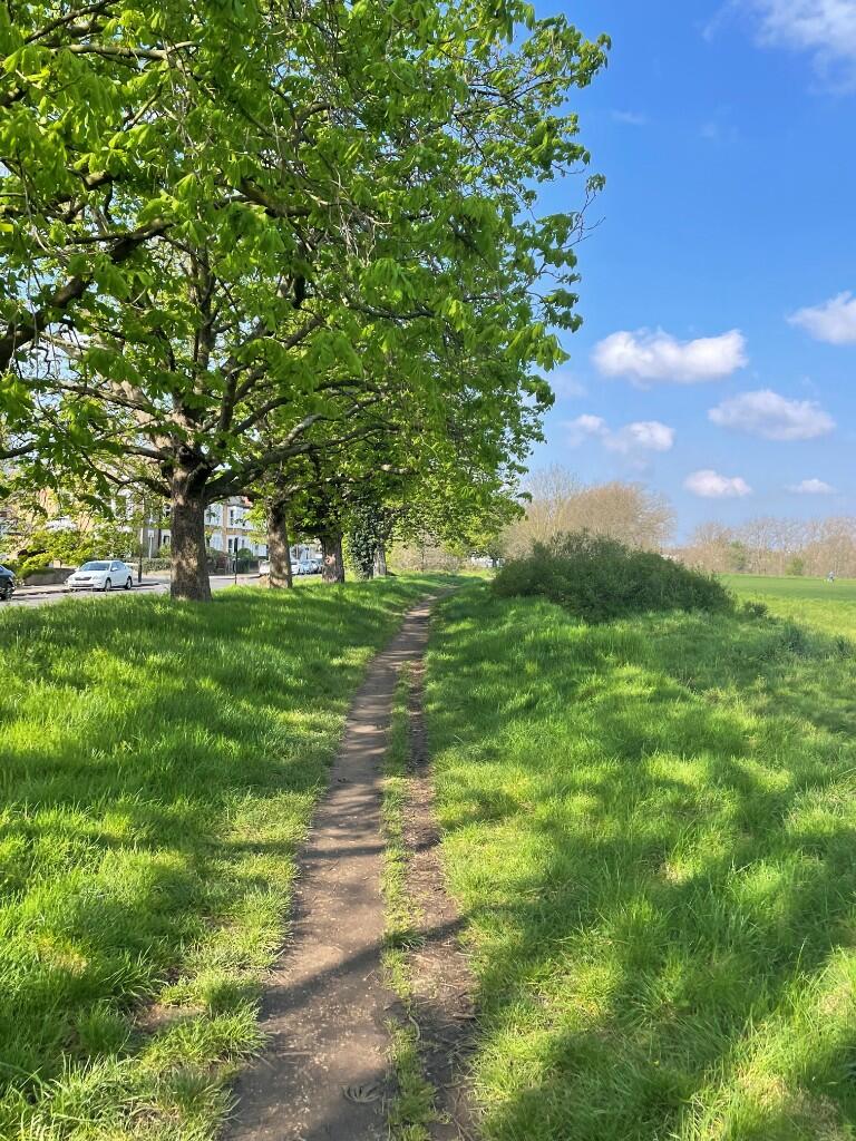 Wanstead Flats