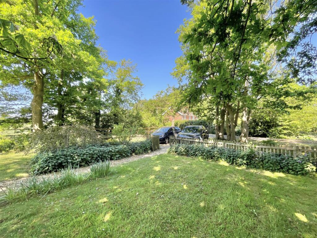 Garden and driveway