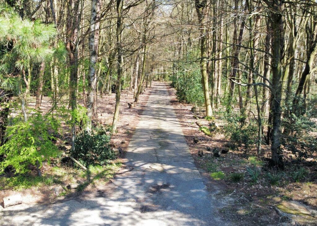 Driveway.jpg