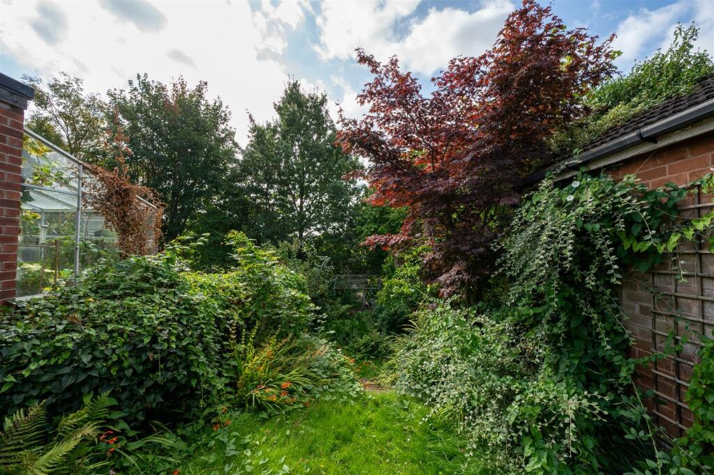 DSC_0601.jpg