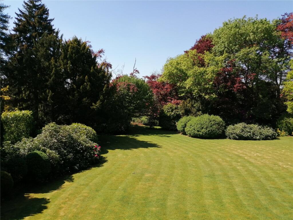 Garden In Summer
