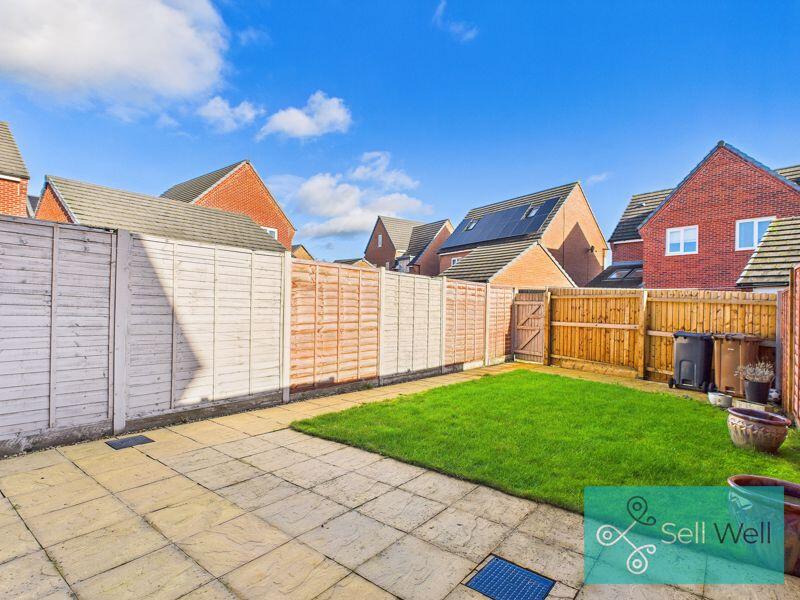 Back Garden