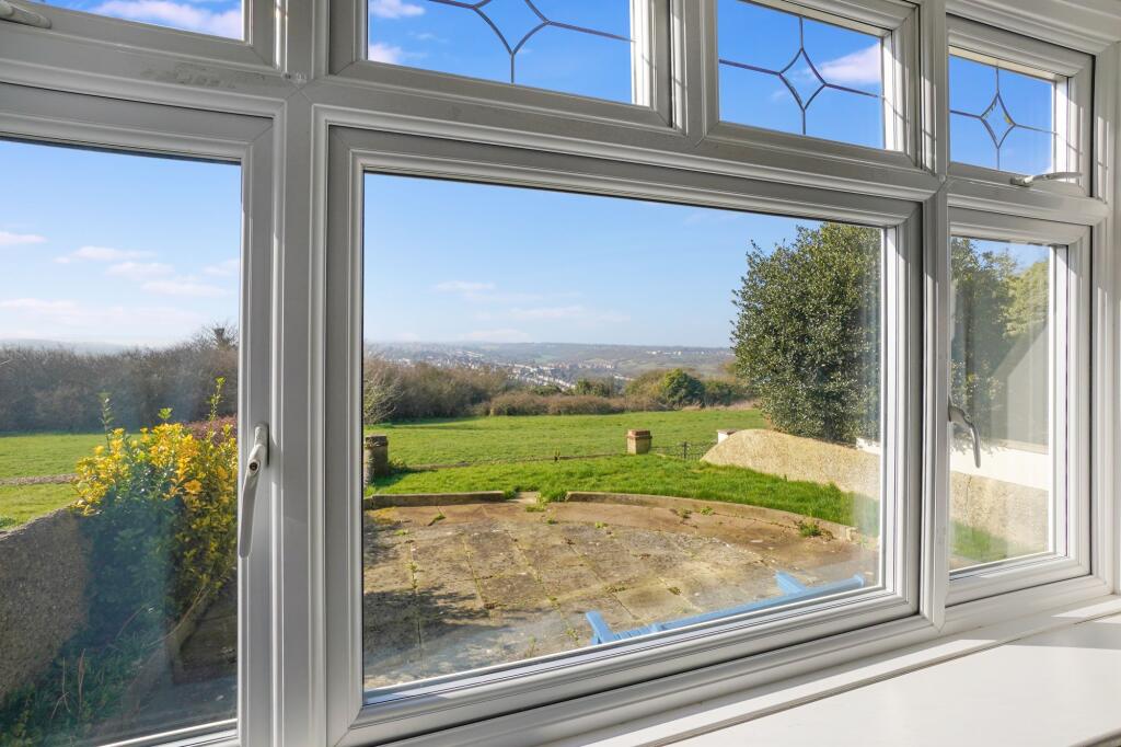 View From Window