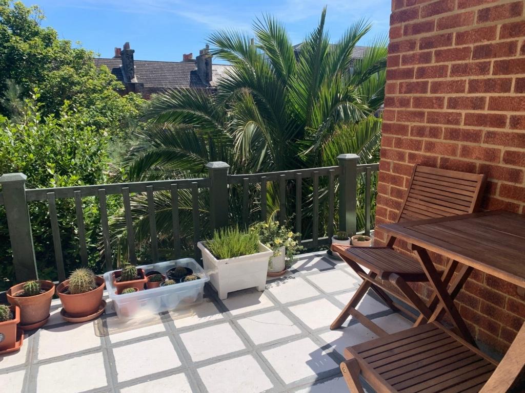 Sun Terrace