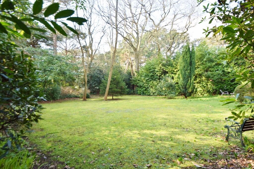 communal gardens