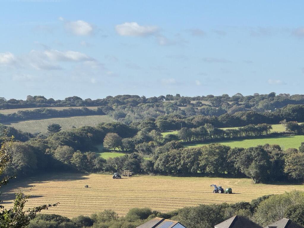 Rural View (Zoomed)