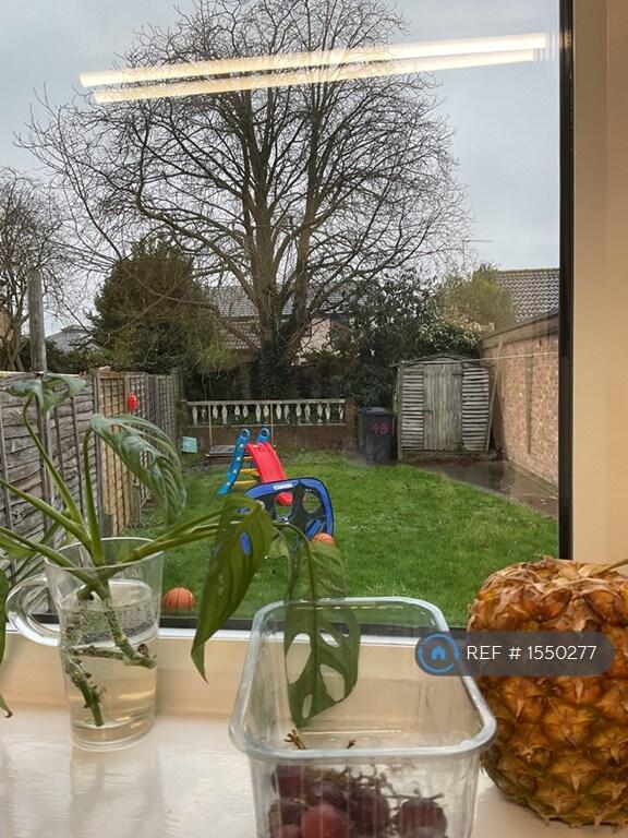 Rear Garden From Kitchen Window