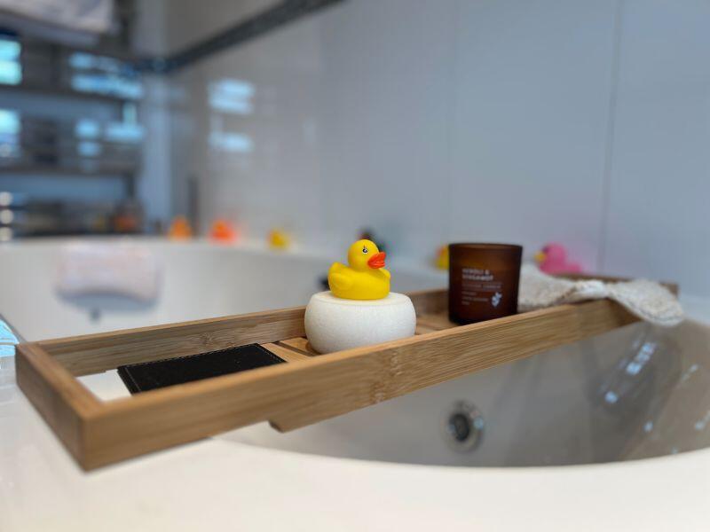 Feature Duck
