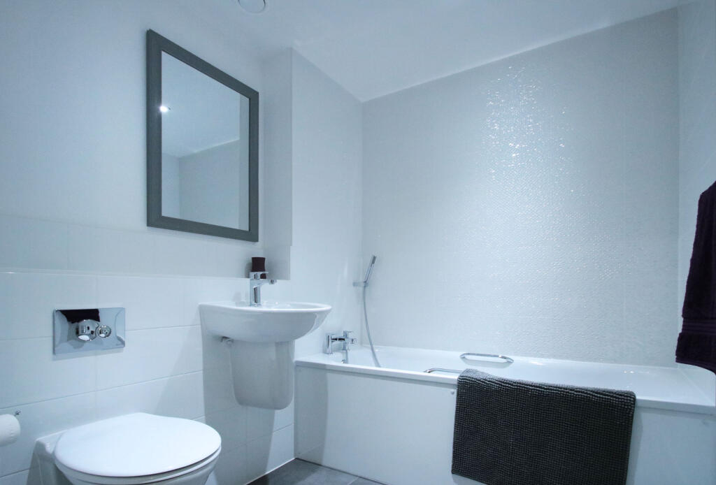 58olympushsebathroomsml