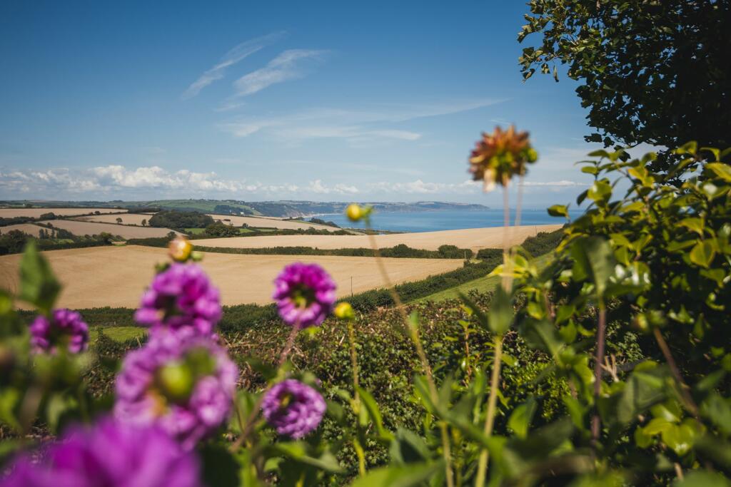 Widdicombe Lodge_Garden_Widdicombe