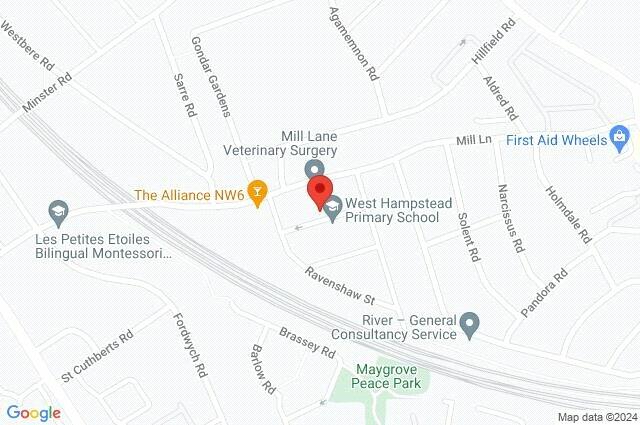 Google Maps Image