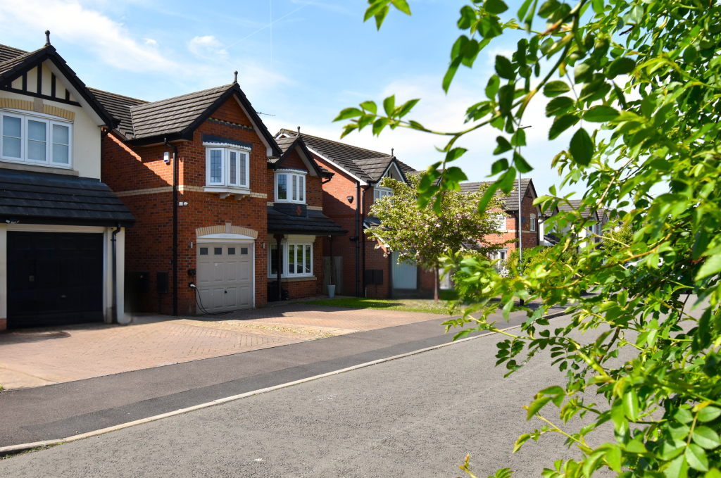 Untitled (5200 x 3900 px) (5200 x 3450 px) (1)