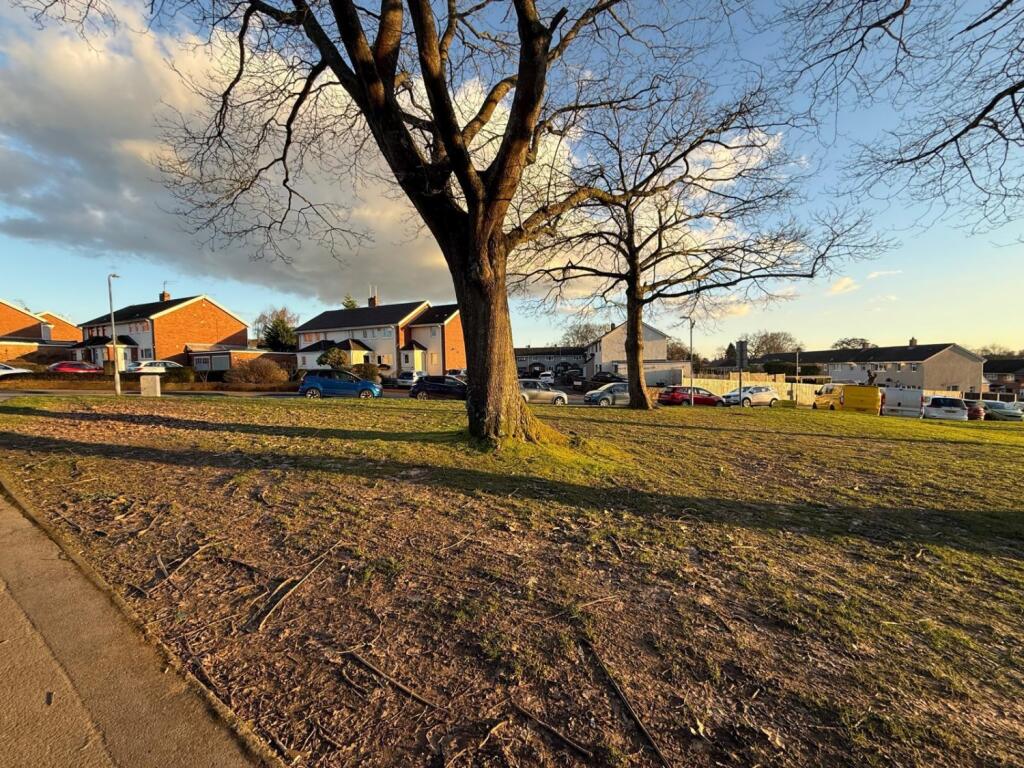 PHOTO-2025-03-01-10-45-24 3