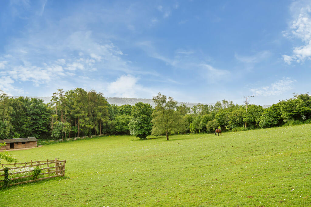 Views over fields