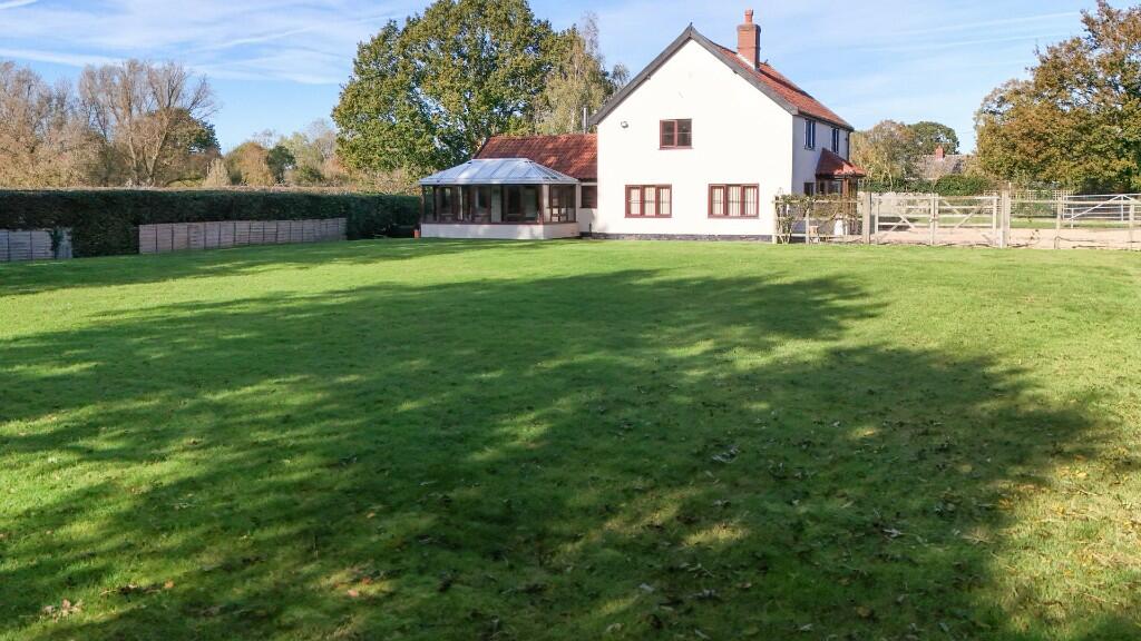 Back Garden