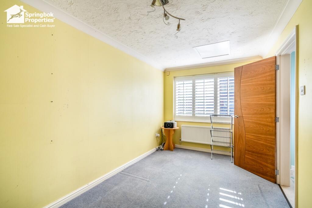 IMAGE 11