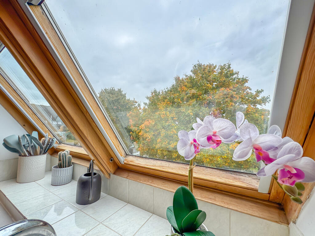 20251007_121201418_iOS_edited