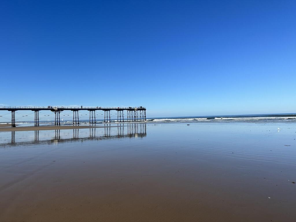 Saltburn