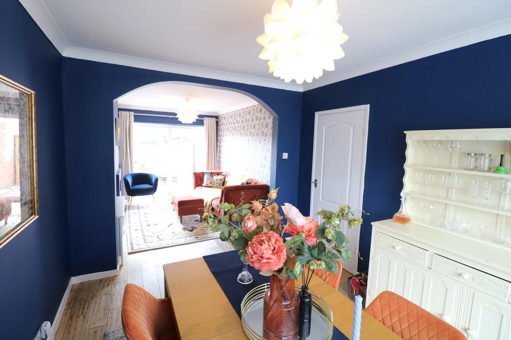 IMG_5378