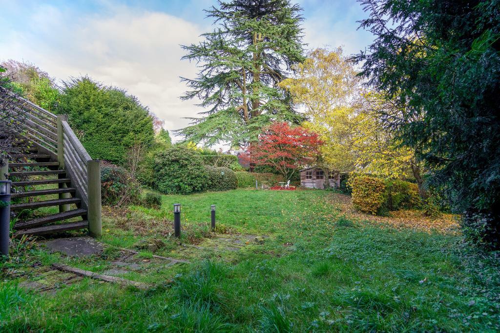 Half an acre easy to care for garden