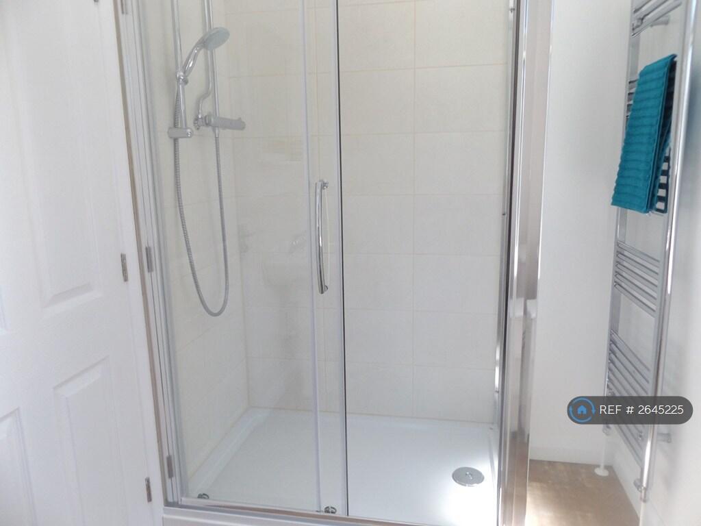 Large Walk-In Power Shower