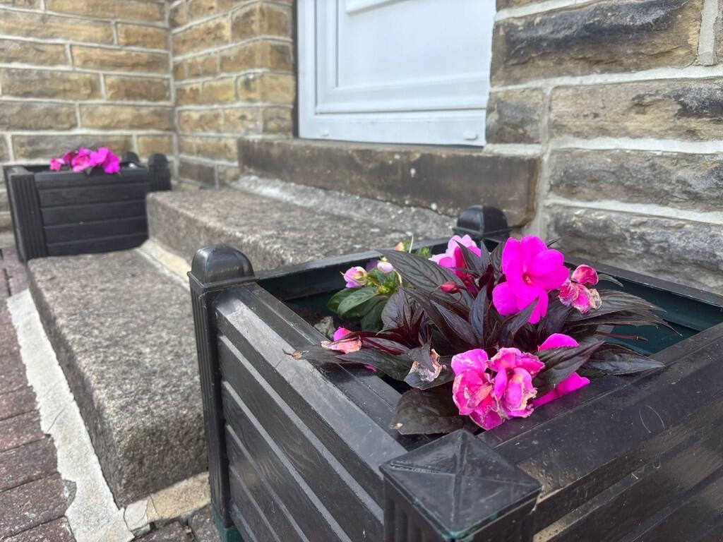 Front feature
