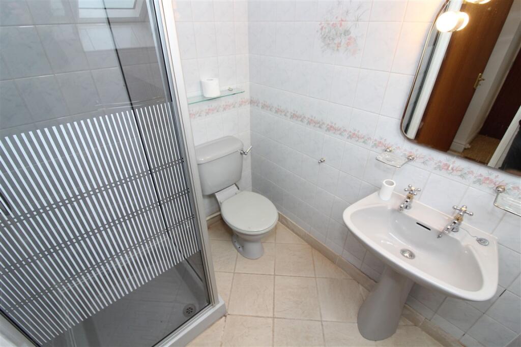 IMG 6826  Medium  T202510021650.jpg