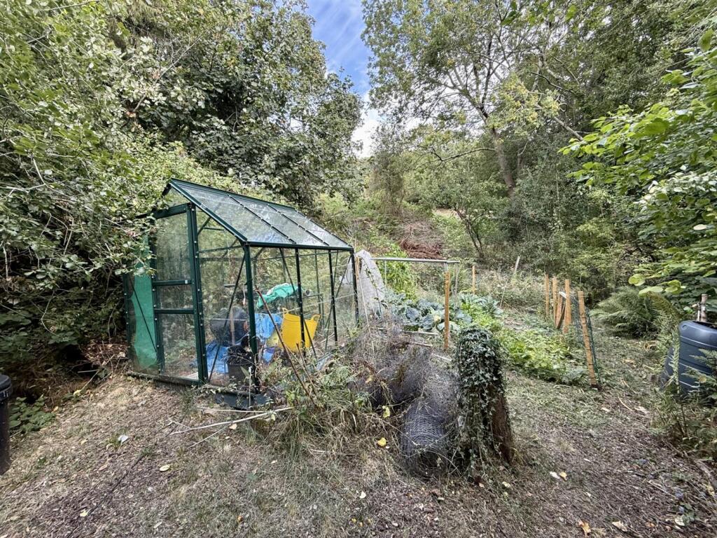 VegArea.jpg