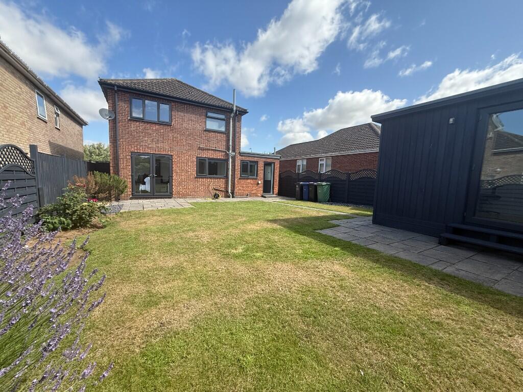 Back Garden