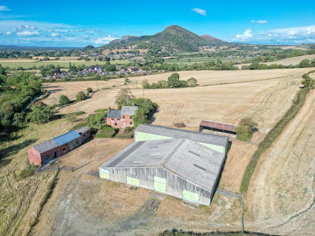 Lot 1