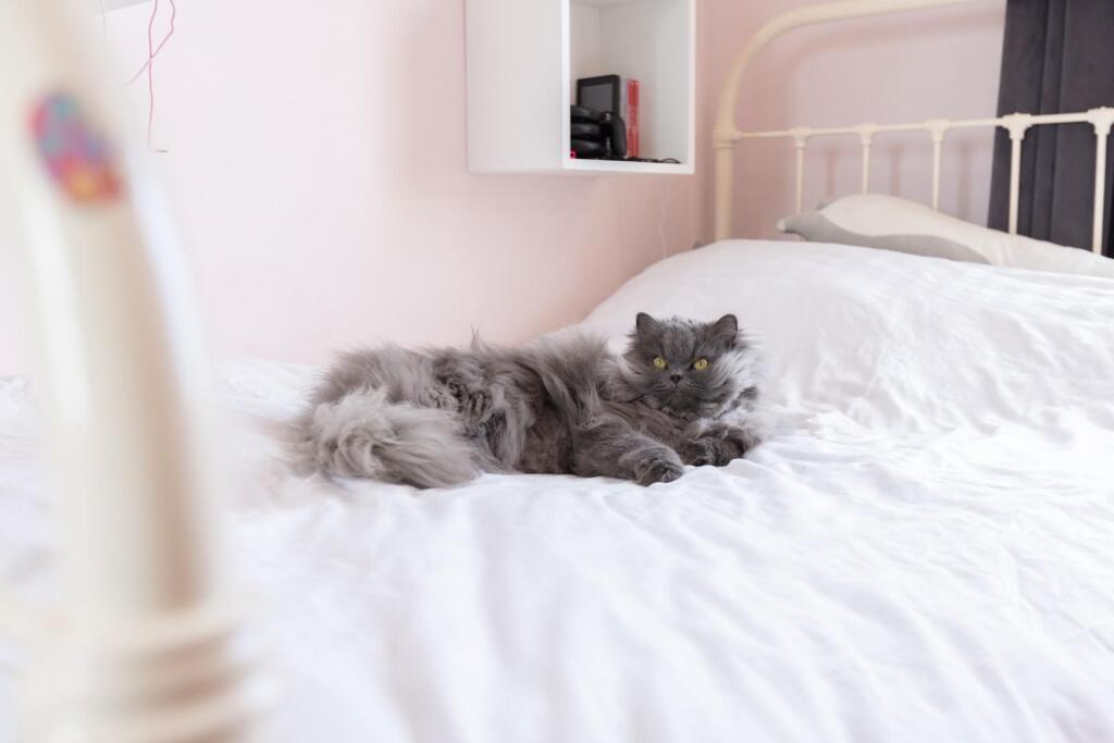 332 Stapleton Road-29.jpg