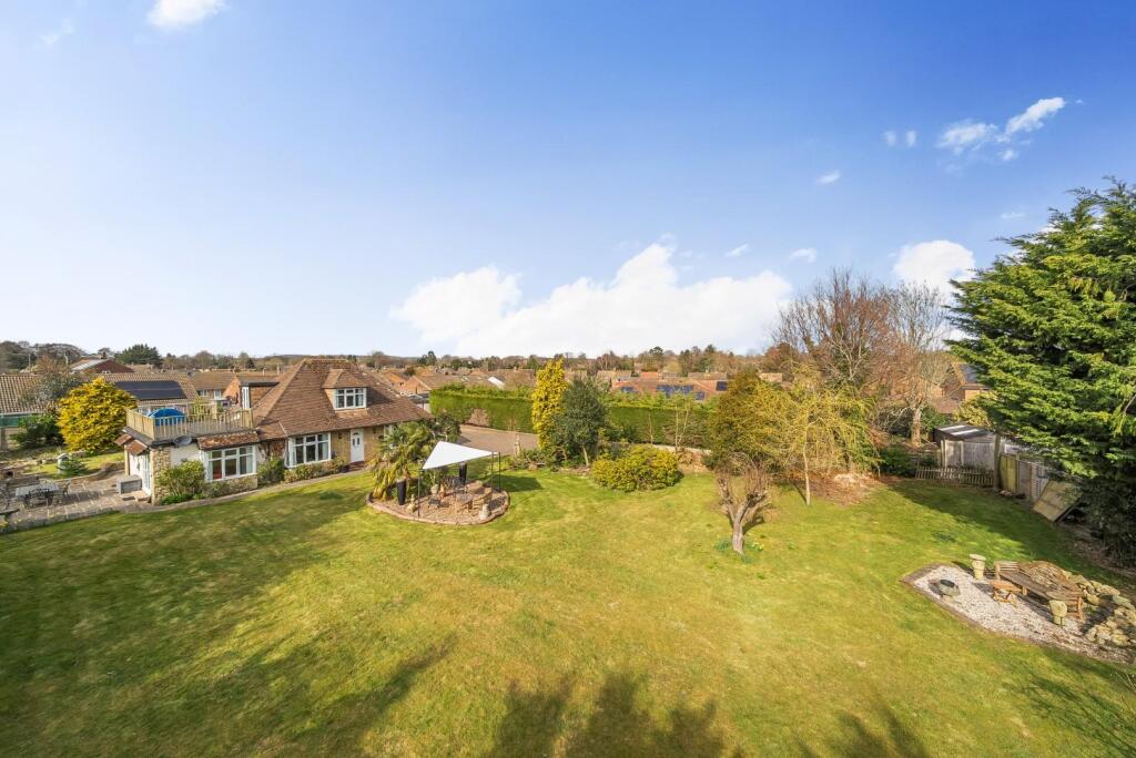 67de99d3c44d2-1264119 (1)e.jpg