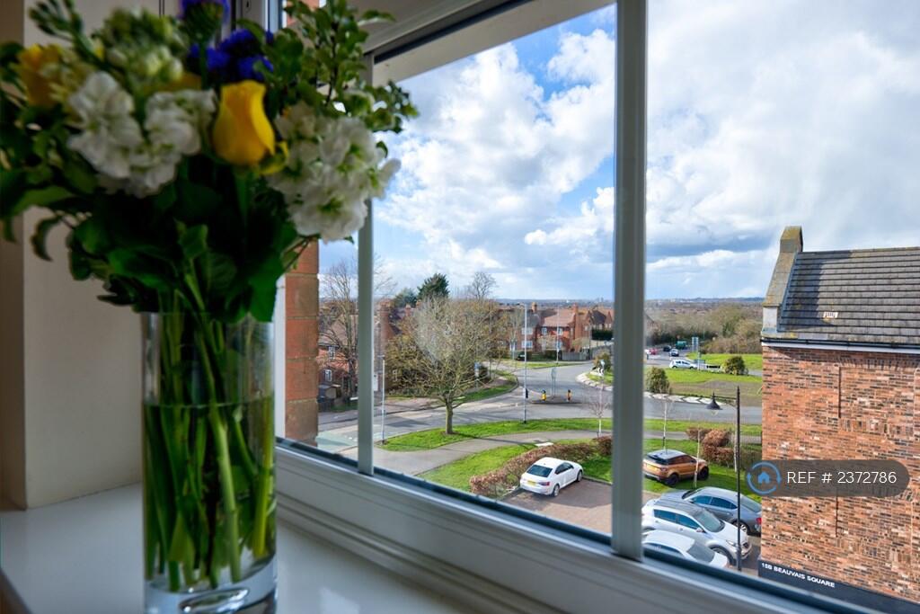 Views From Lounge