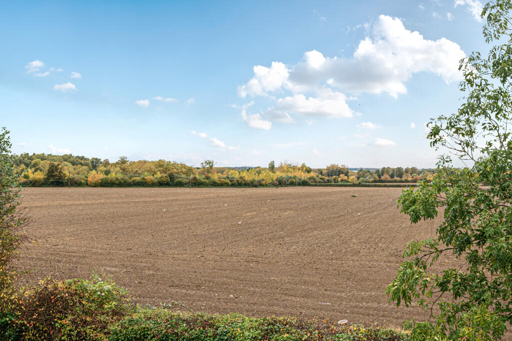 View Over Fields