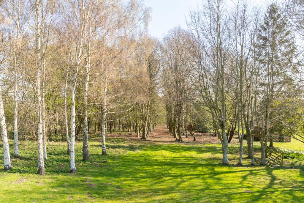 Grounds