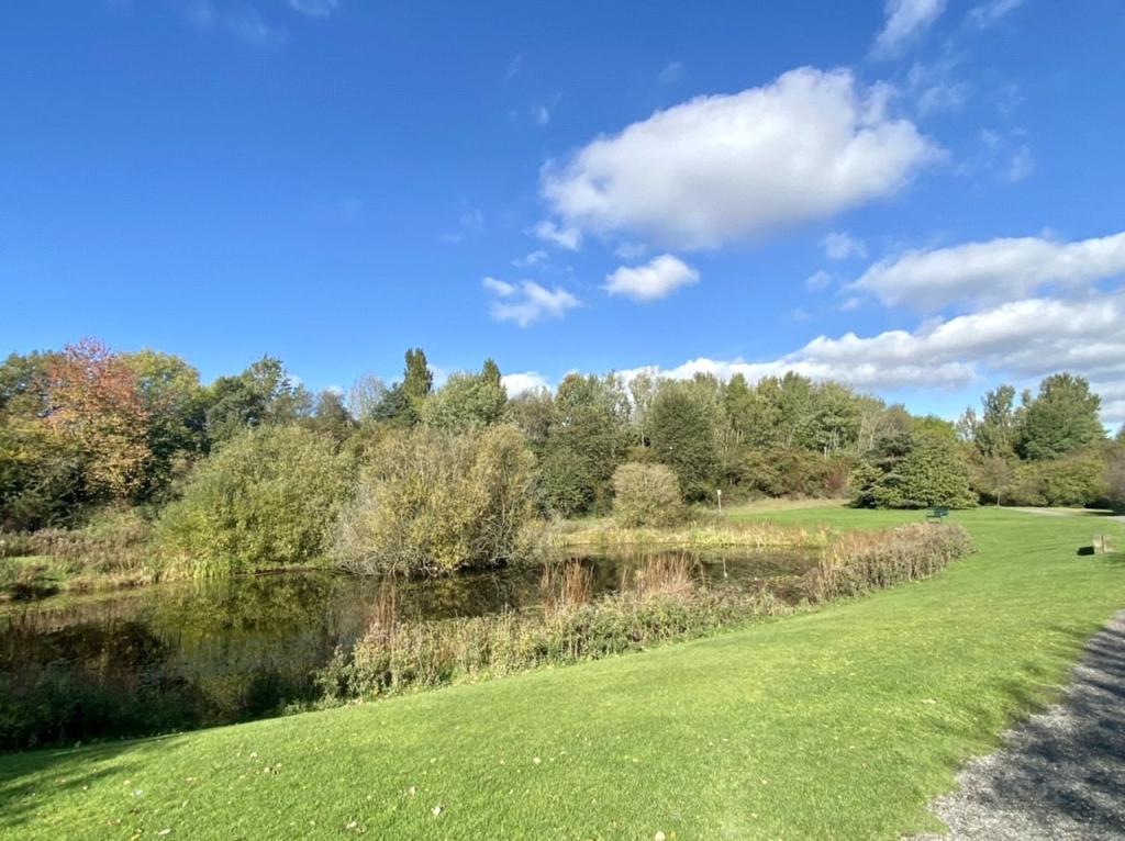 Local Park