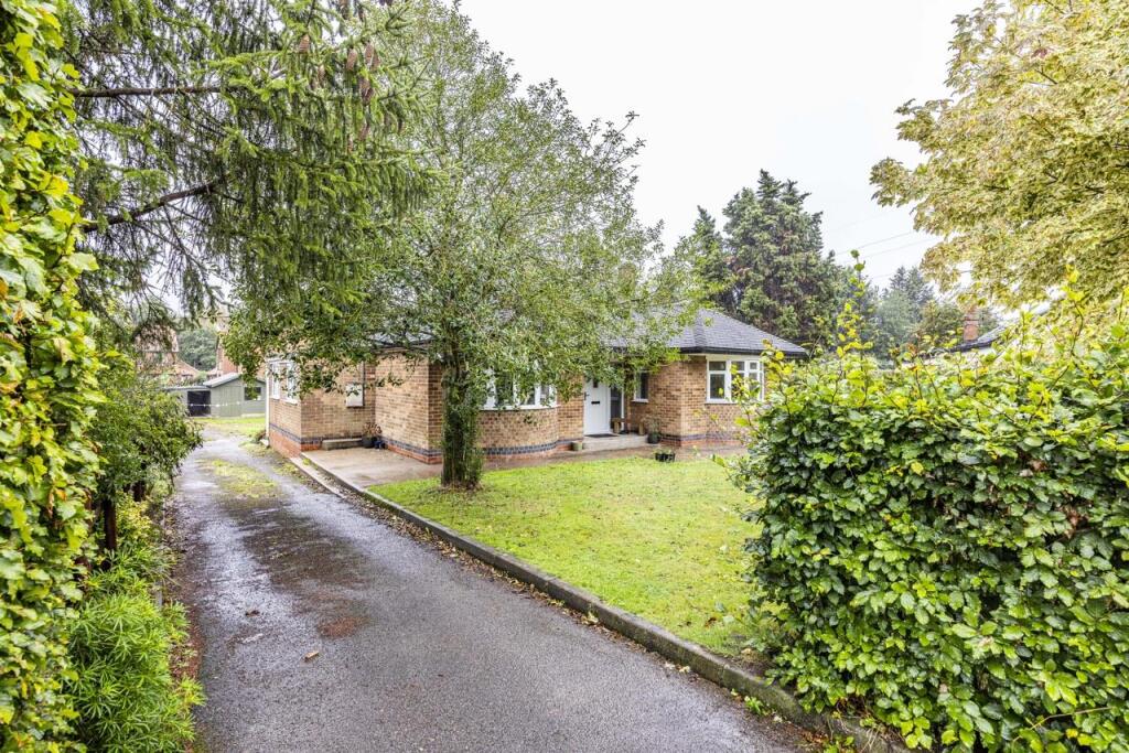 IMG_1687.jpeg
