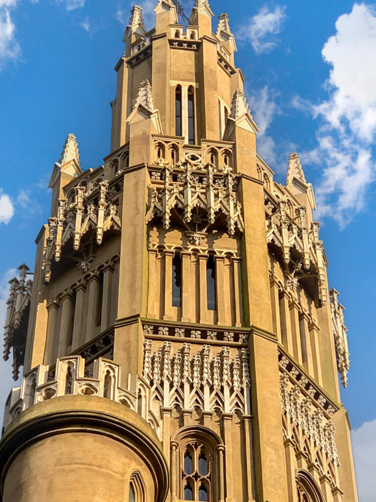 Area View Of The Tower