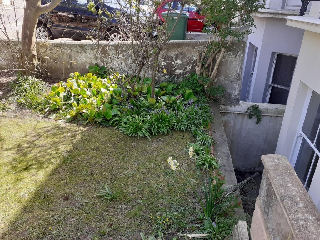 Front garden