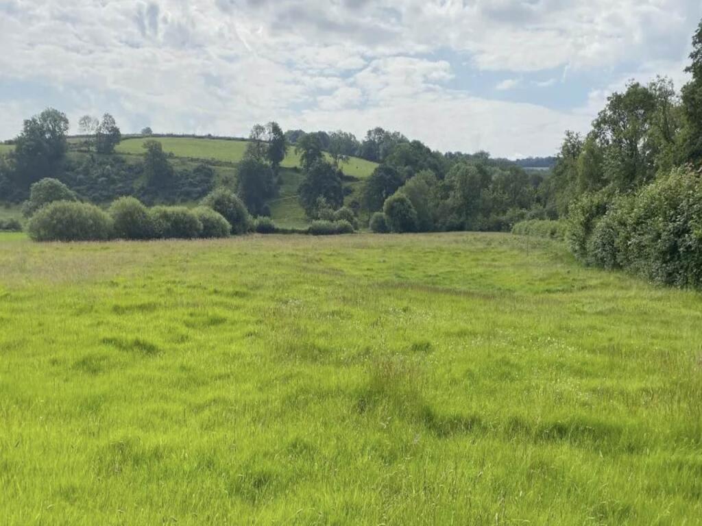 Pasture Land