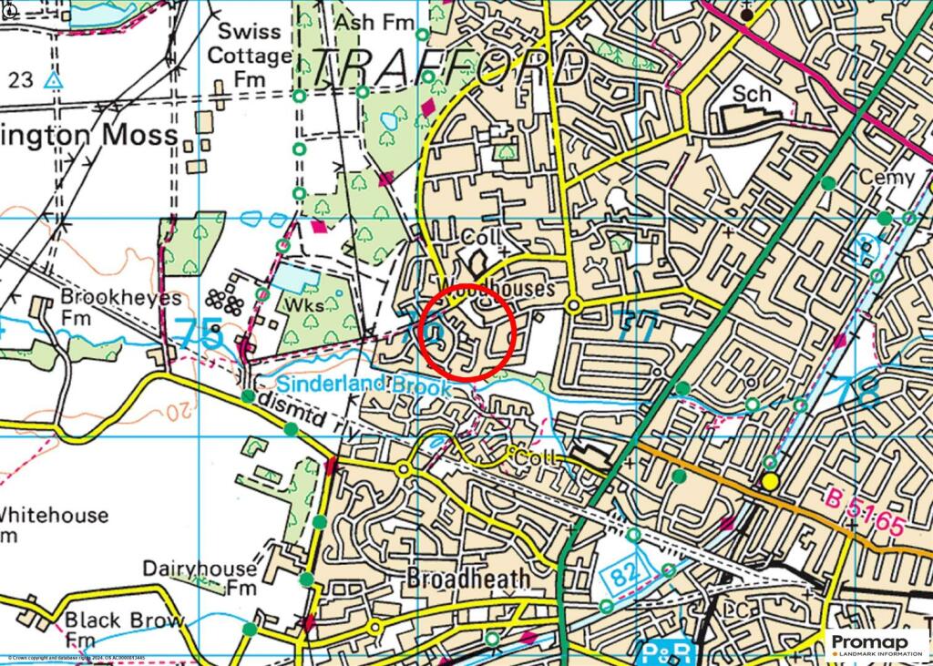 Town Plan