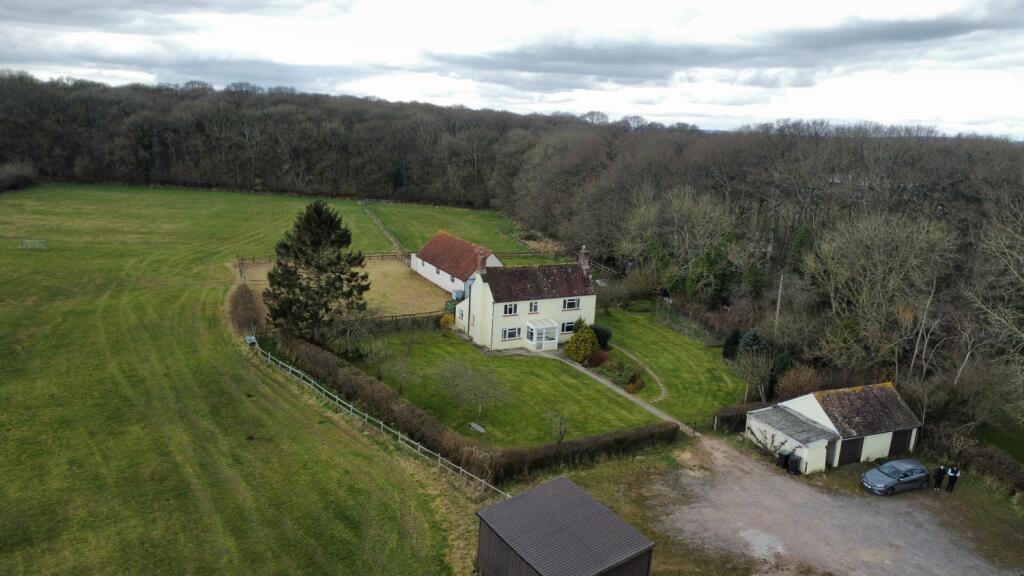 dji_fly_20250313_124950_571_1741870418607_photo_op