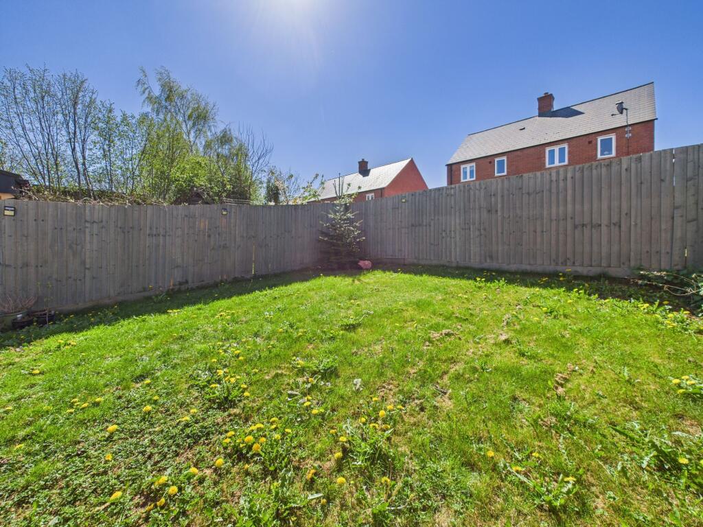 Back garden