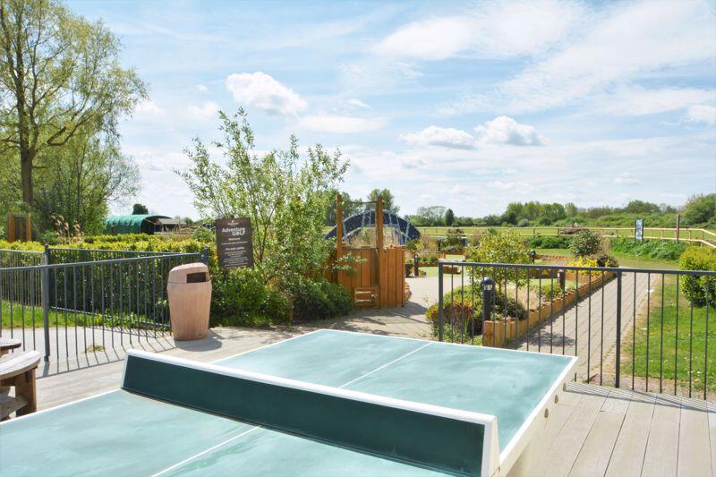 Table tennis and adventure golf