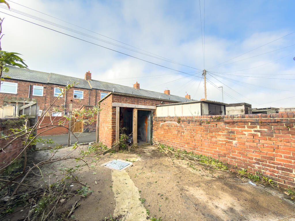 IMG 7480 2 T202511111839.jpg